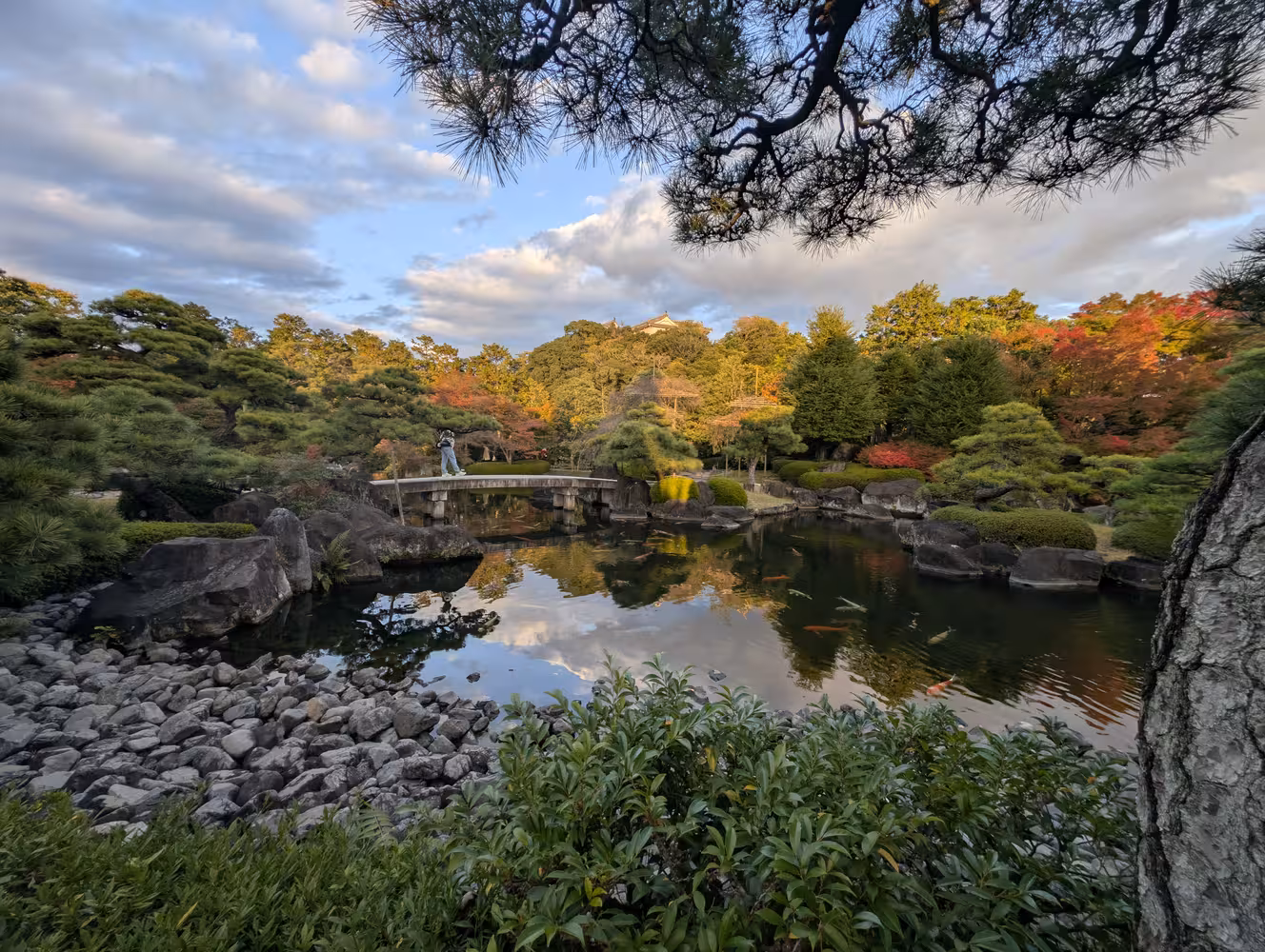 Another picture of the pond.