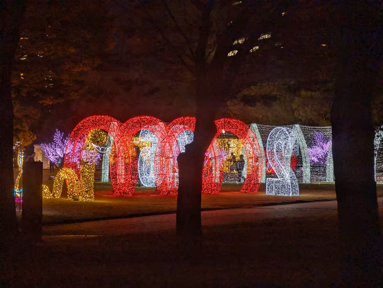 View through some trees at a are installation that consists of tunnels and other shapes lit by colorful chains of lights.