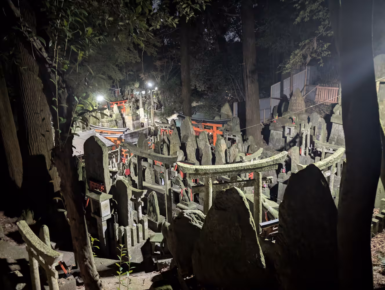 A part of the woods packed densely with stone sculptures.