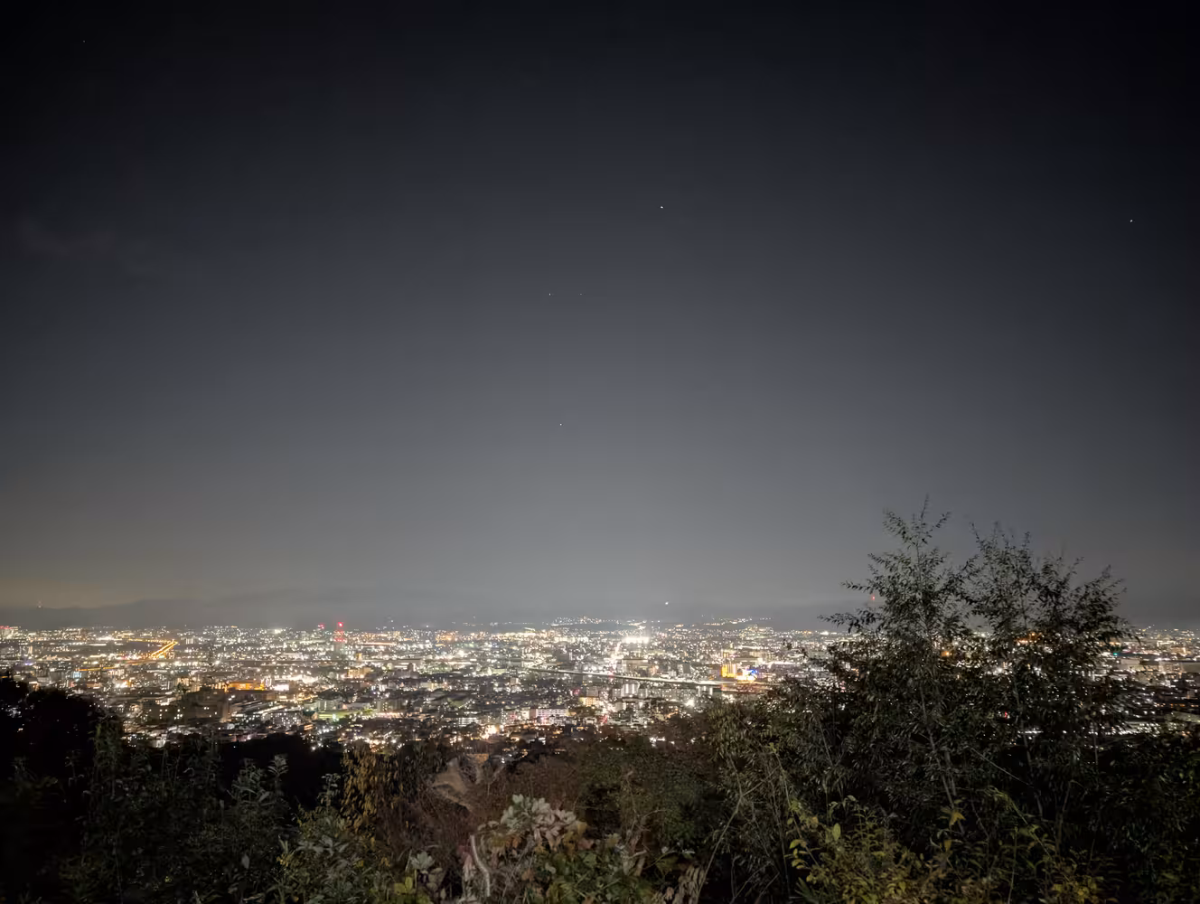 View from the mountain over Osaka glowing in the night. There are some trees visible in the lower half of the picture close to where it was taken.