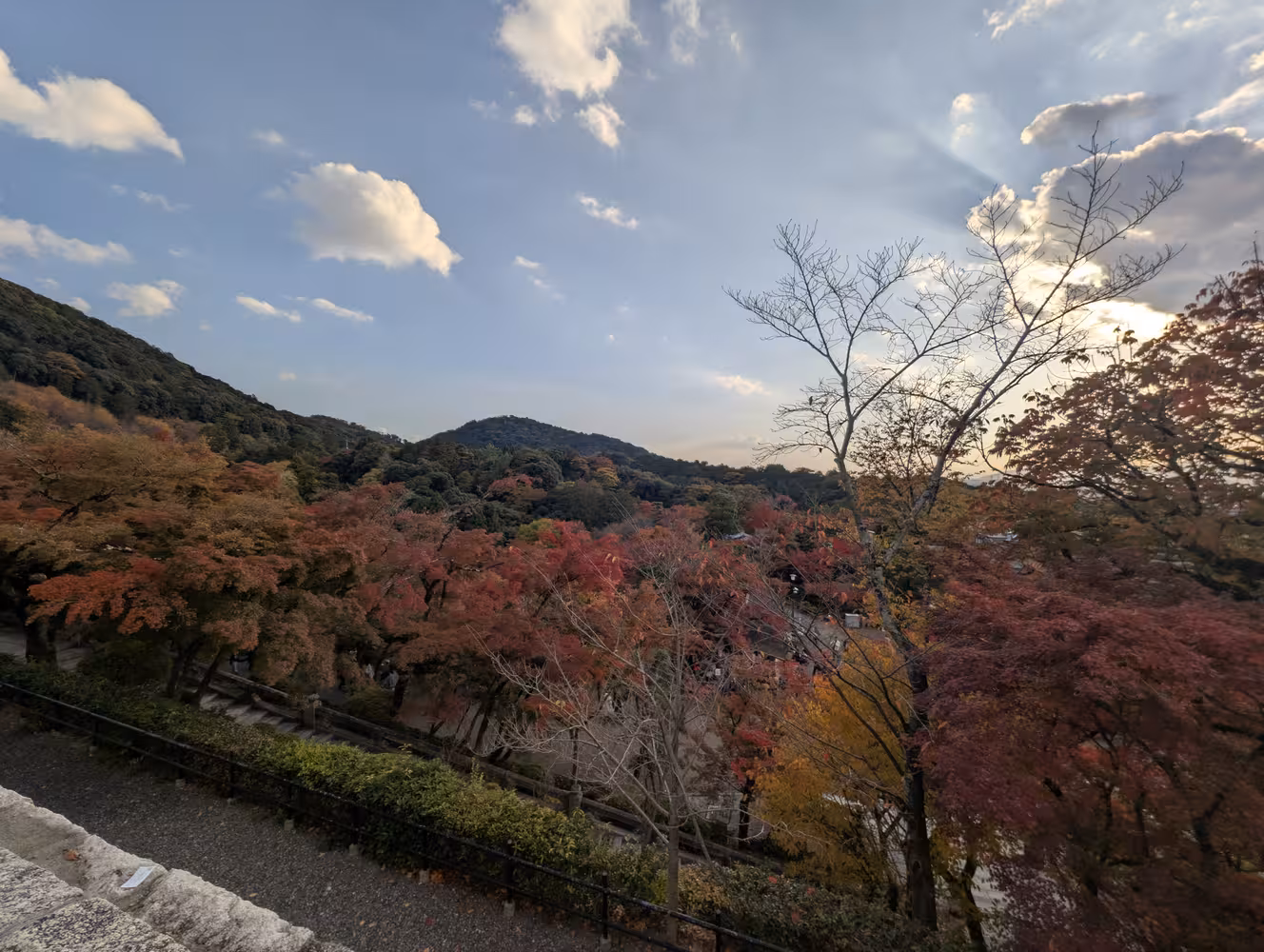 The valley with colorful trees in the foreground, surrounded by mountains covered in green trees.